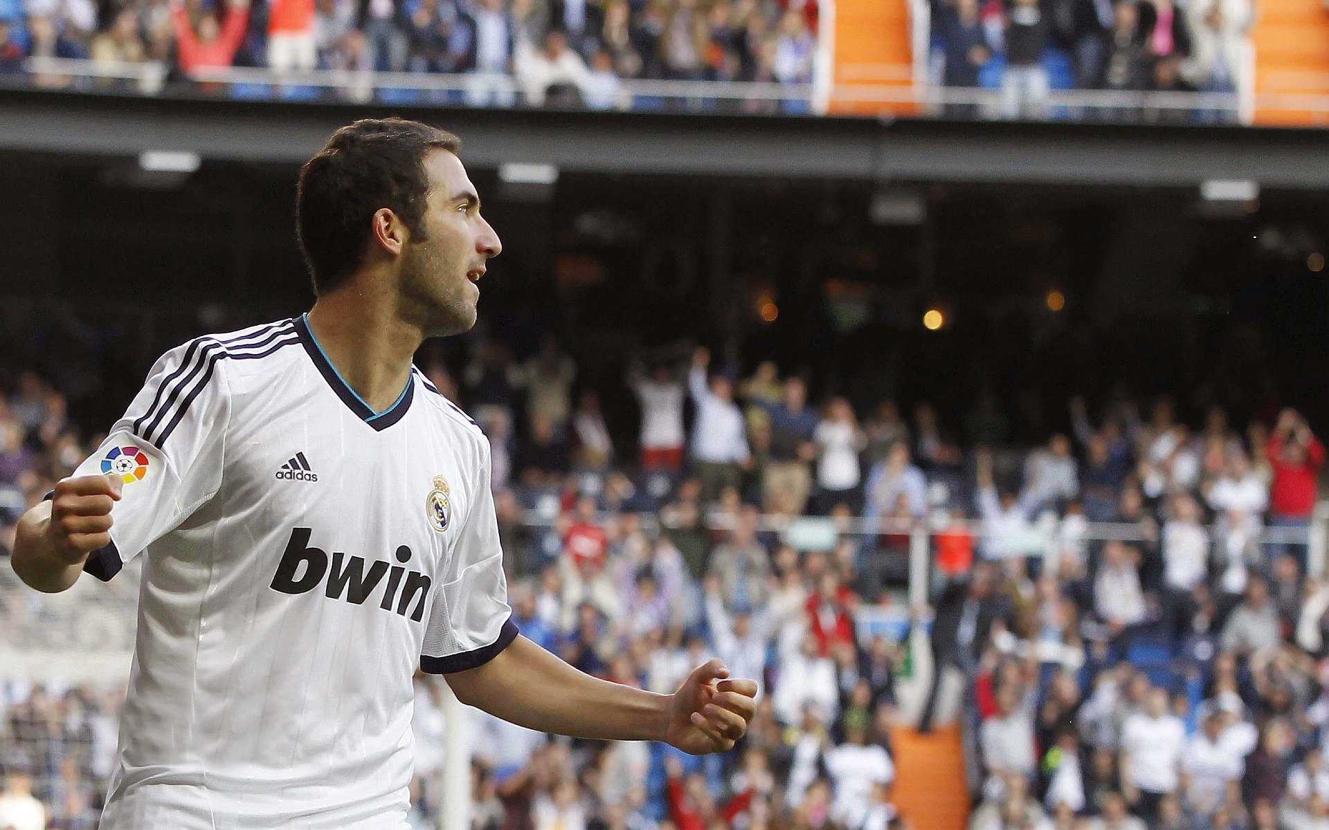 体育中心夜跑活动广受市民欢迎,体育场夜跑